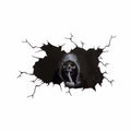 Accessories Skeleton Skull Sticker Decor Party Car Window Pull Fuel Zpaxo S