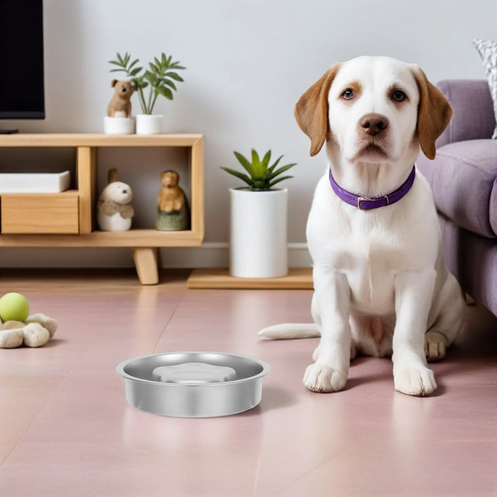Stainless Steel Slow Feed Dog Bowl Non-slip Base Licking Enrichment