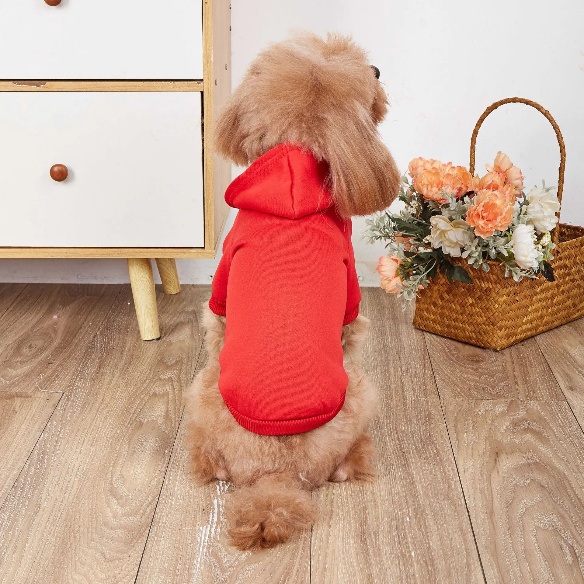 Winter Teddy Dog Clothes Sport Hoodies Sweatshirts Warm Coat Clothing