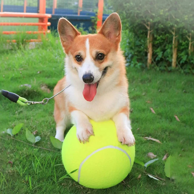 Tennis Ball Large Dog Pet Balls Dogs Outdoor Indoor Sports Training