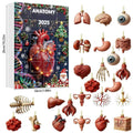2025 Science Theme Advent Calendar 24 Days Countdown Decorations