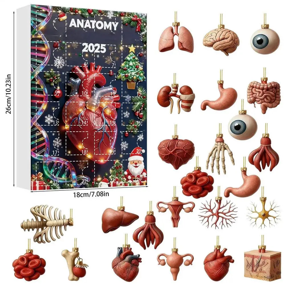 2025 Science Theme Advent Calendar 24 Days Countdown Decorations