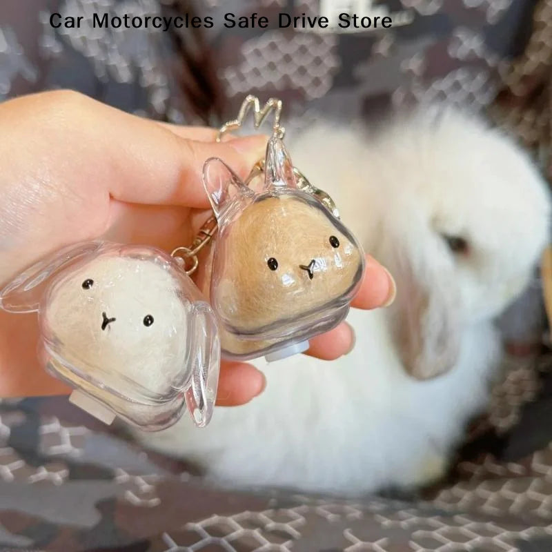 APet Hair Memorial Keepsake Box Bottle Transparent Storage Container
