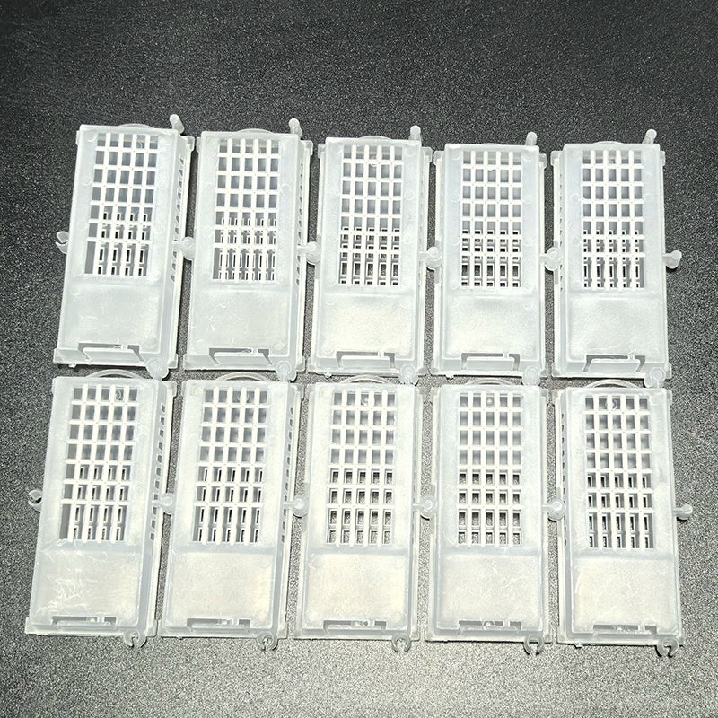 Beekeeping Bees Transparent Queen Cages Bee Transport Apiculture