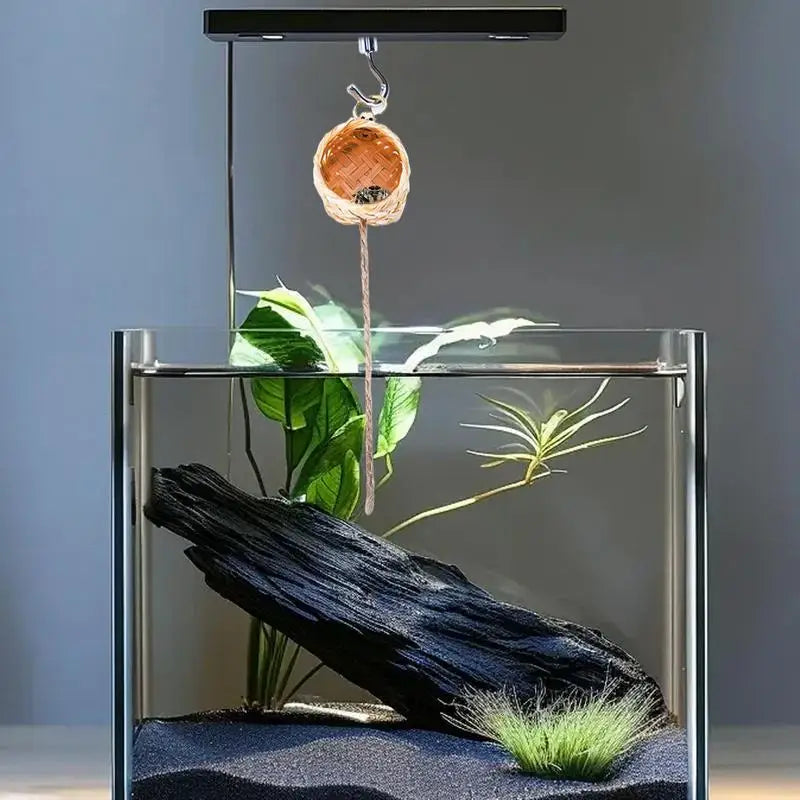 Magnetic Jumping Spider Hideawa Y Pet Habitat Climbing Rope