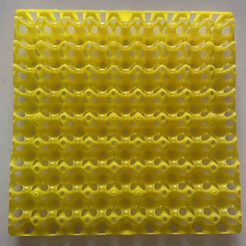 Plastic Quail Egg Tray Pigeon Holder Bird Crate Dividers Storage