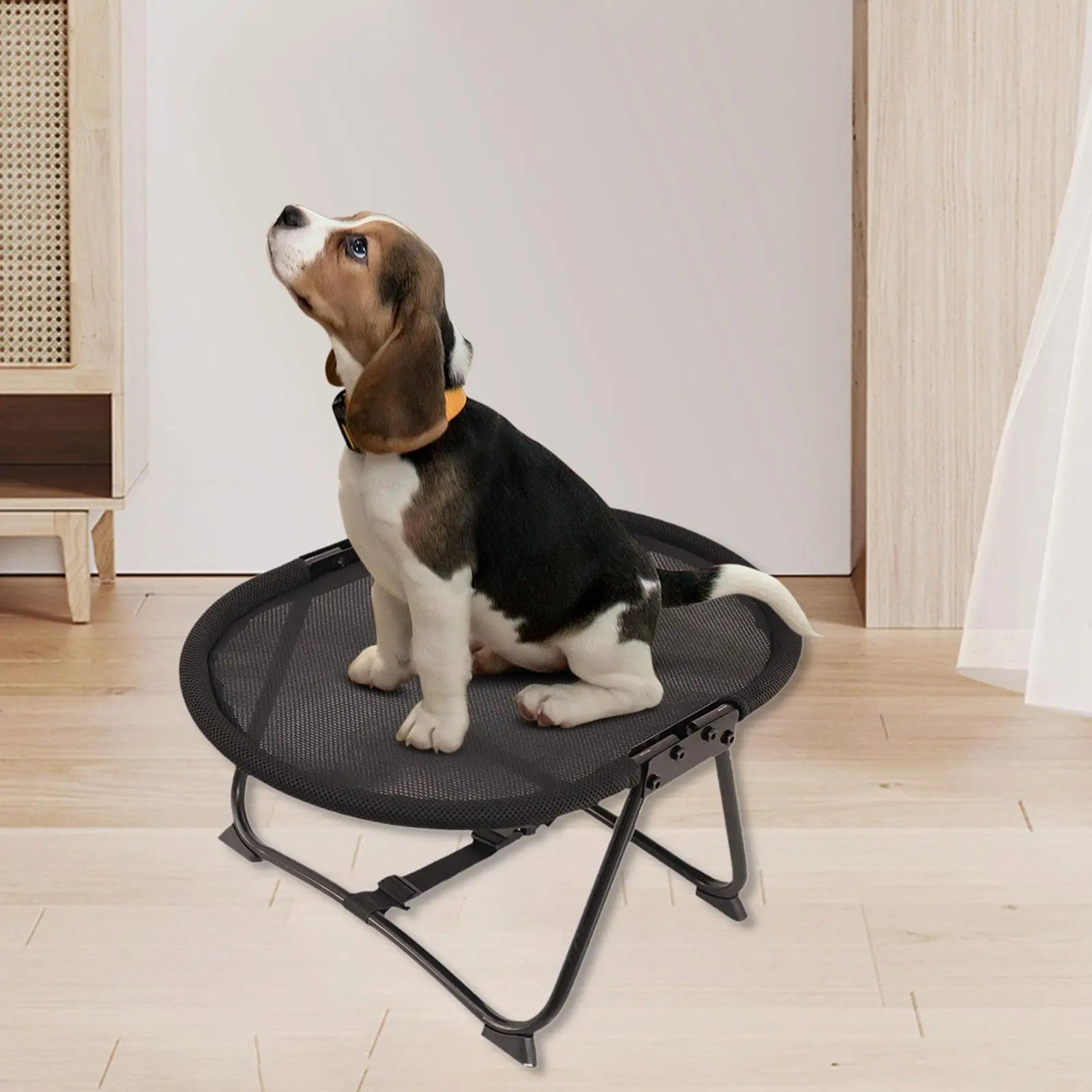 Elevated Pet Bed Foldable Outdoor Gifts Versatile Indoor Iron Frame Zpaxo