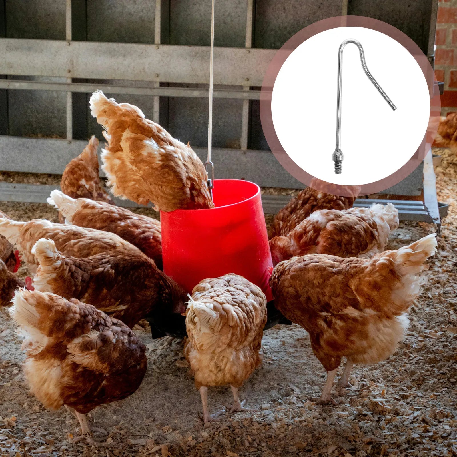 Professional Chicken Catcher Hook Rod Chickens Ducks Geese Quick
