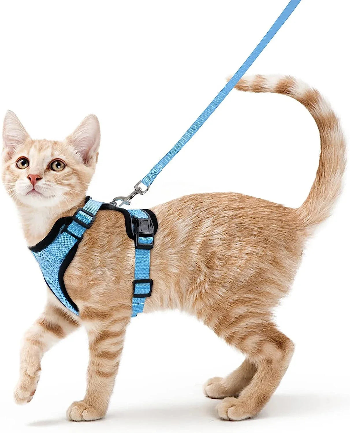 Summer Cat Dog Harness Lead Leash Adjustable Vest Polyester Mesh Breathable Harnesses Reflective for Small Dog Cat Lesah Zpaxo Blue XS