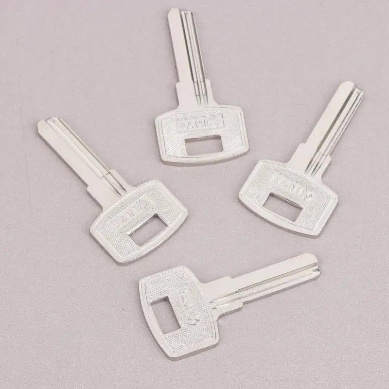 LOT Commonly Used Key Blank FAV1D Baili Double Slot Material Zpaxo