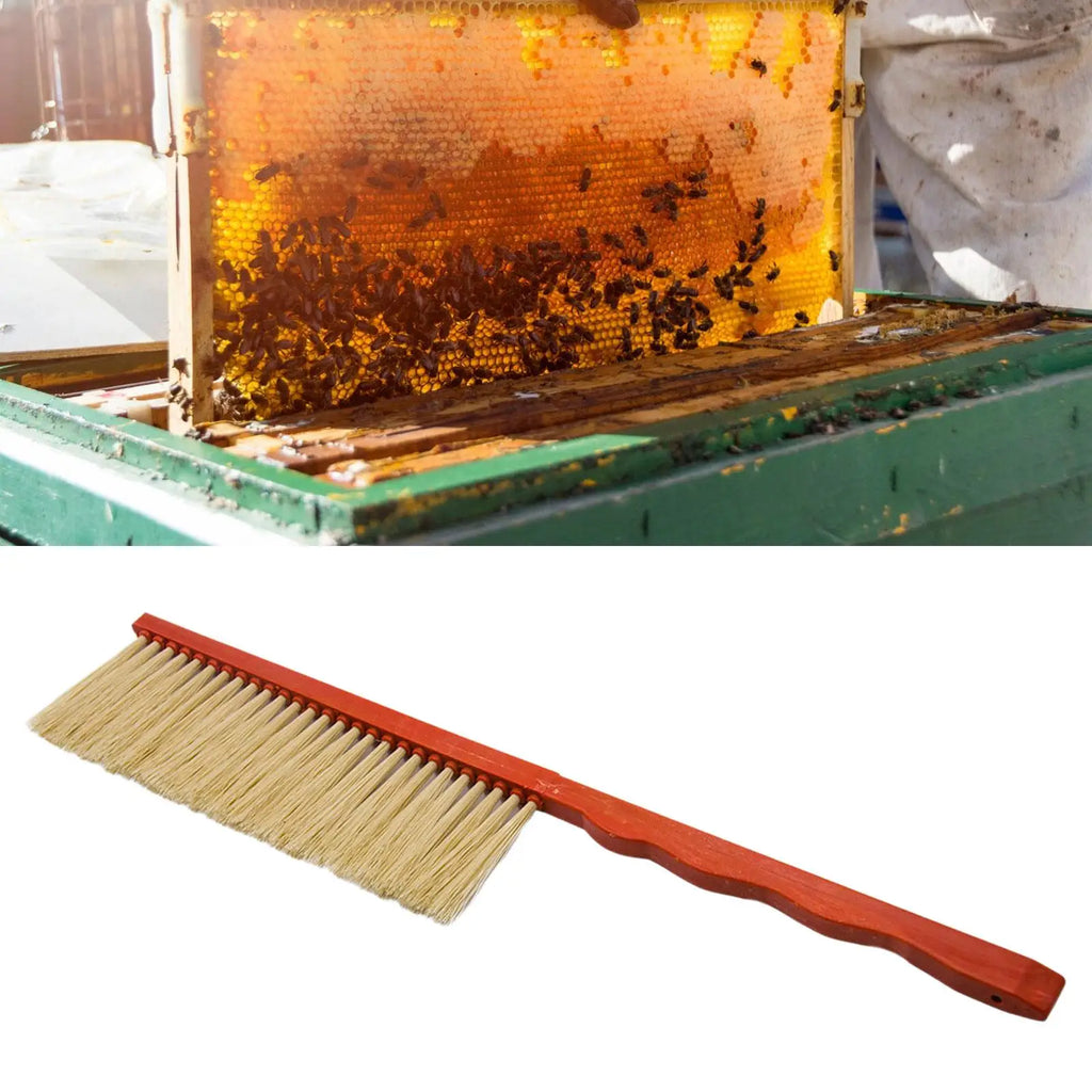 Honey Brush Beehive Cleaning Tool Professional Sturdy Long Handle Zpaxo