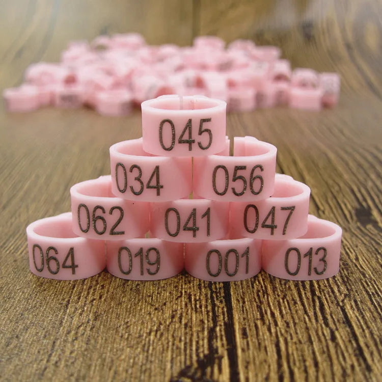 Bird Clip Ring ID Plastic Digital Markup Parrot Pigeons 10 Colors Zpaxo Pink