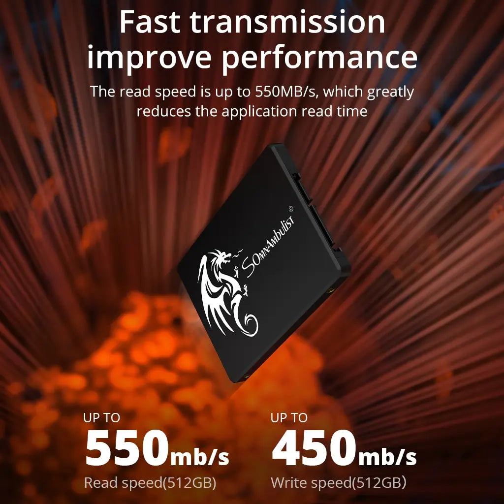 Somnambulist SSD 120GB 240GB 480GB 960GB Internal Sata3 Solid State Zpaxo