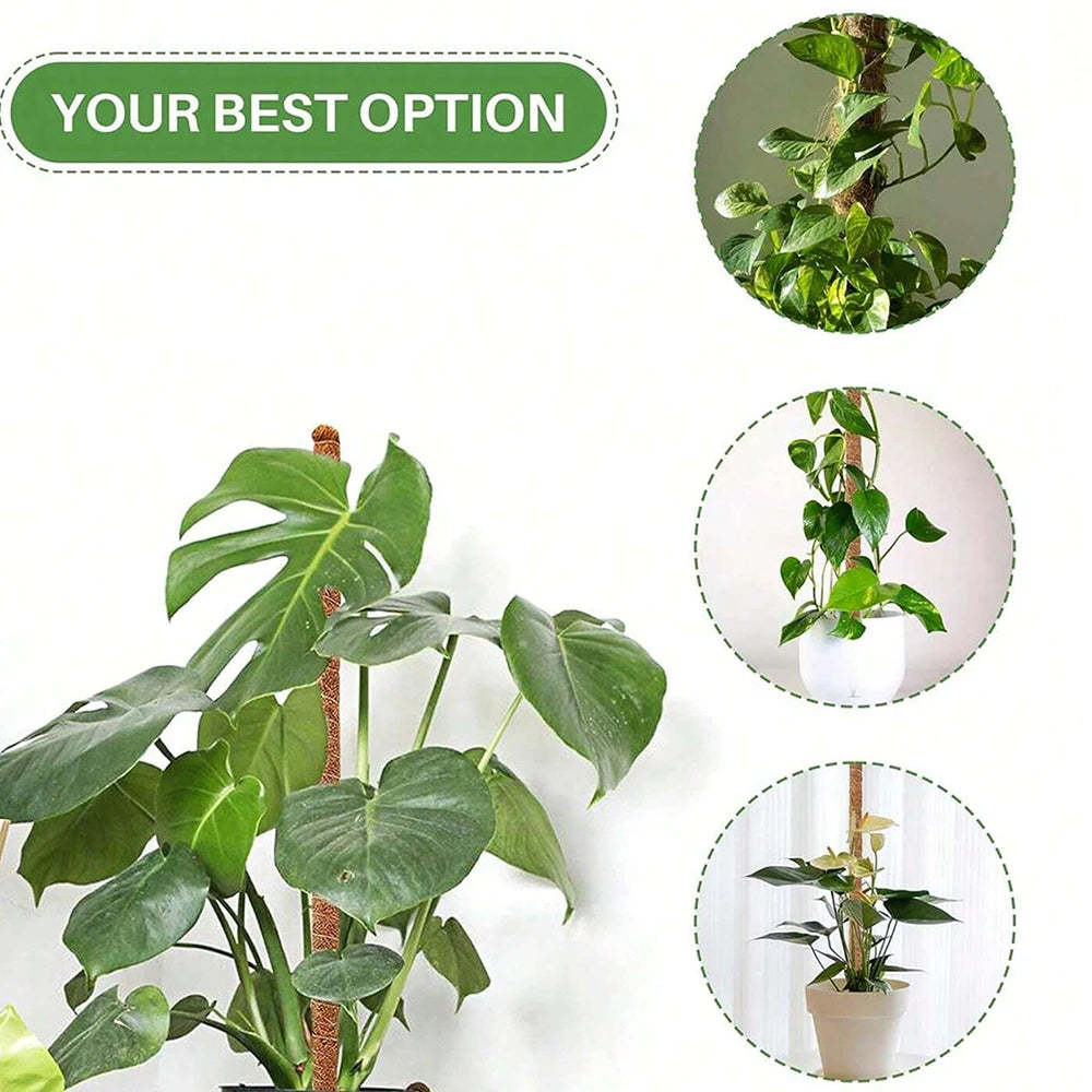 Moss Pole for Plants Monstera Plant Support Stakes for Climbing Indoor Plants Garden Trellis Plant Stick for Potted Plants Zpaxo