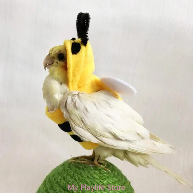 Bird Parrot Suit Fashion Honeybee Costume Cockatoos Clothes Flight