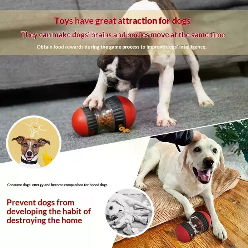 Pet Toys Elliptical Track Rolling Increase Intelligence Ball Leaky Zpaxo