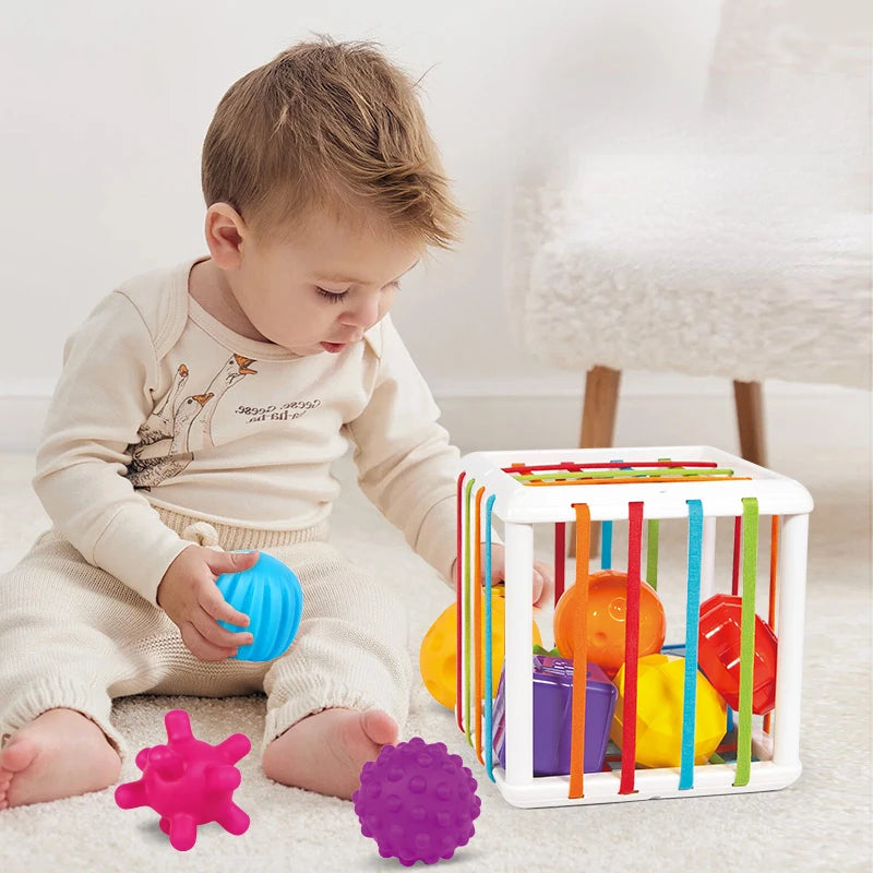 Montessori Toys Children 0-12 Months Early Education Rainbow Cesare