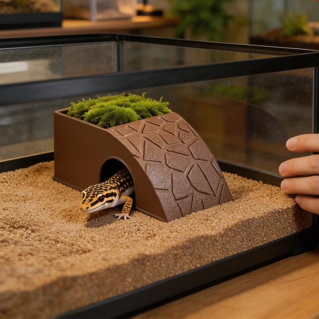 Reptile Cave Hide & Feeder – Gecko, Turtle & Aquarium Hideout Reptile Cave Hideout Zpaxo