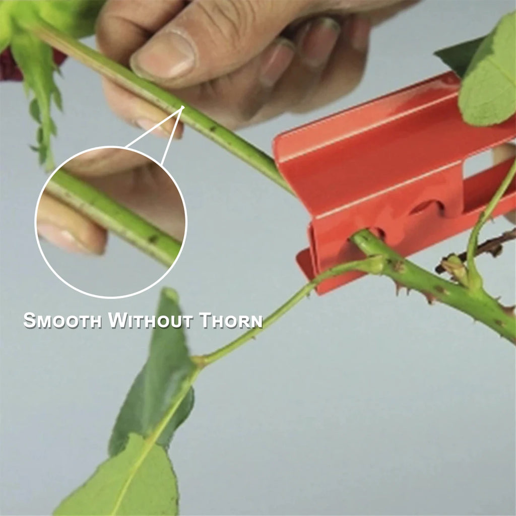 Rose Leaf Thorn Stripper Portable Garden Hand Tool Set Ergonomic Rose Thorn Remover Tool Labor-saving with Gloves for Gardening Zpaxo