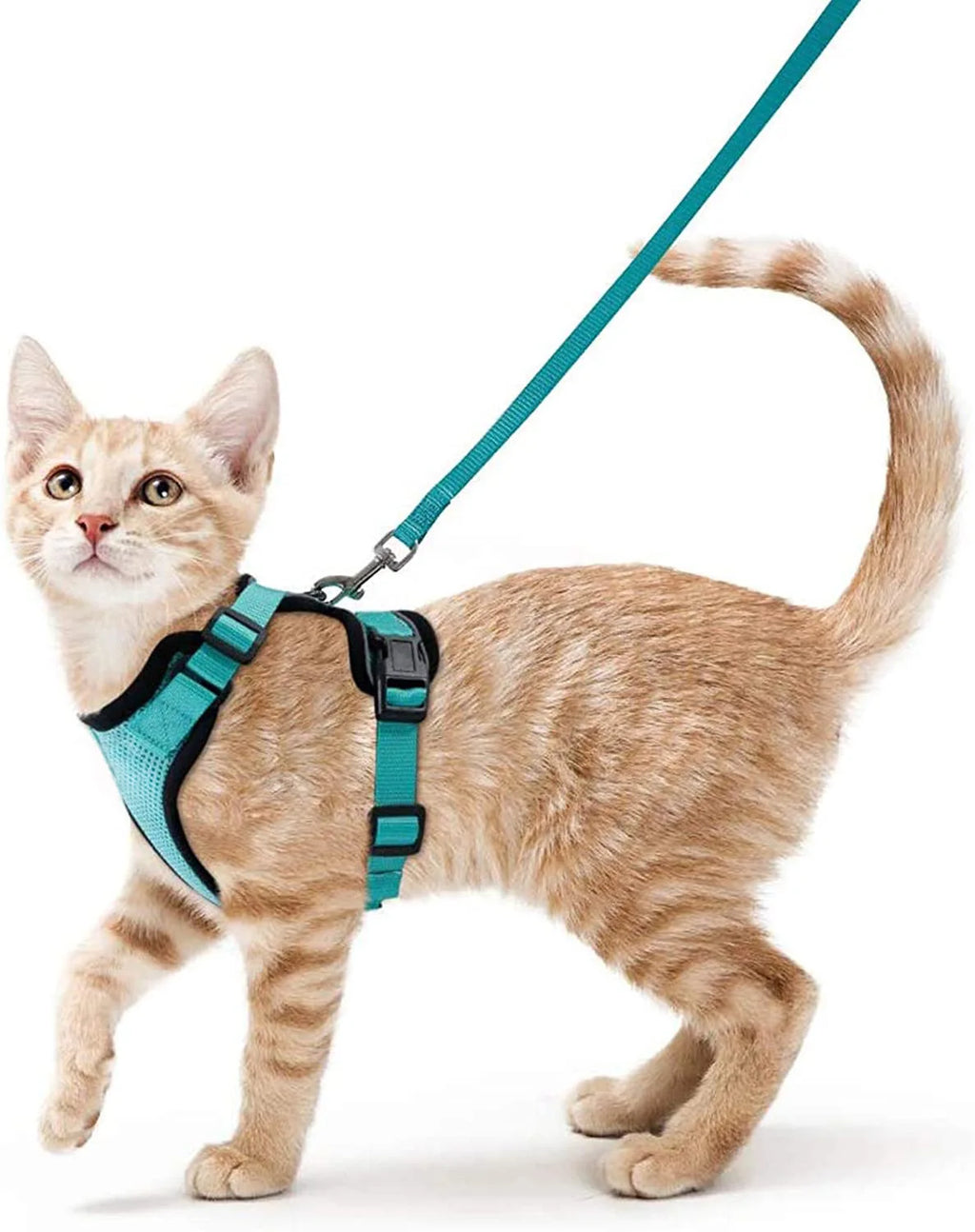 Cat Harness and Leash for Walking, Escape Proof Soft Adjustable Vest Harnesses for Cats, EasyControl Zpaxo