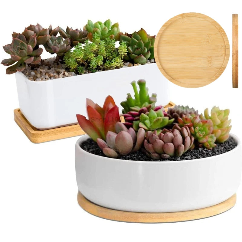 Multi Container Storage Trays Shower Shampoo Body Wash Cosmetics Dispenser Holder Bamboo Wood Tray Bathroom Kitchen Pot Holder Zpaxo