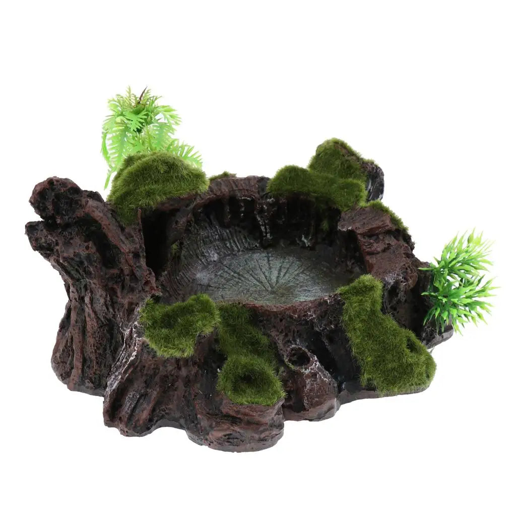 Pets Feeding Plate - Non- Reptile Bowl Resin Dish Suitable for Reptile Small Animals, Tortoise, , Frog, Gecko, Scorpion Zpaxo