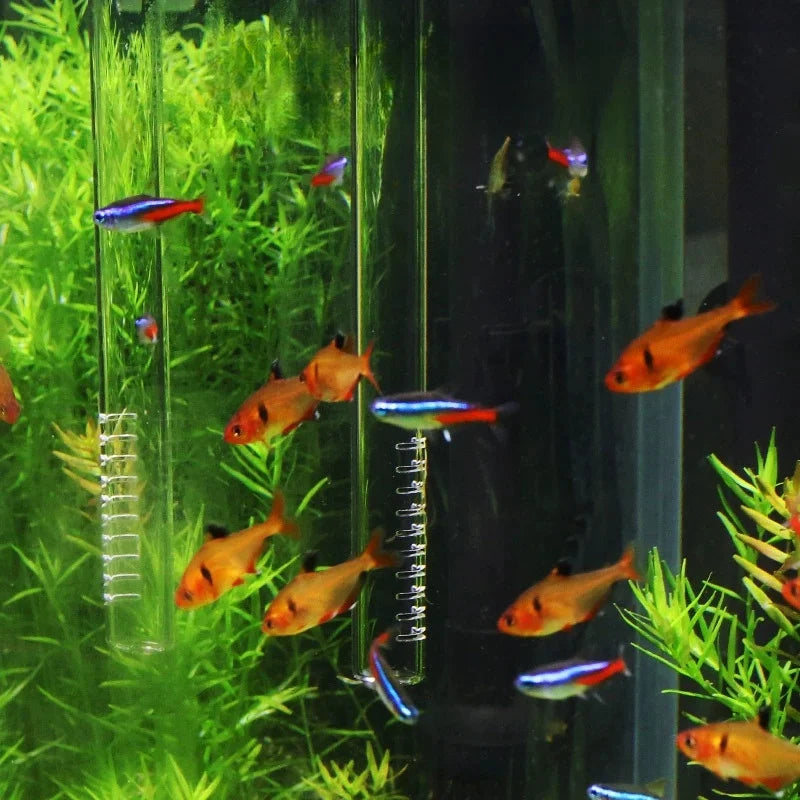 Borosilicate Glass Aquarium Inflow Outflow Pipe Fish Tank Filter Tube