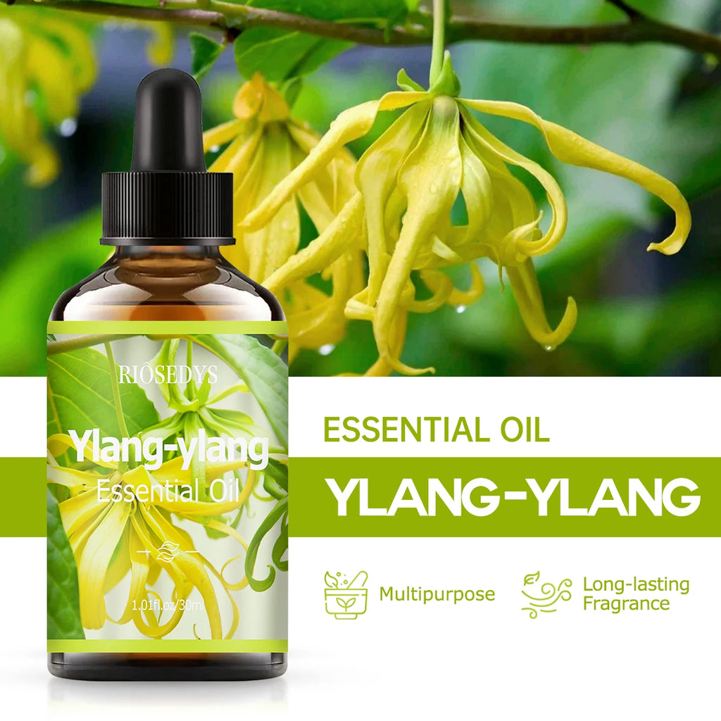 YLANG Essential Oil Natural Fragrance Suitable Body Massage Zpaxo