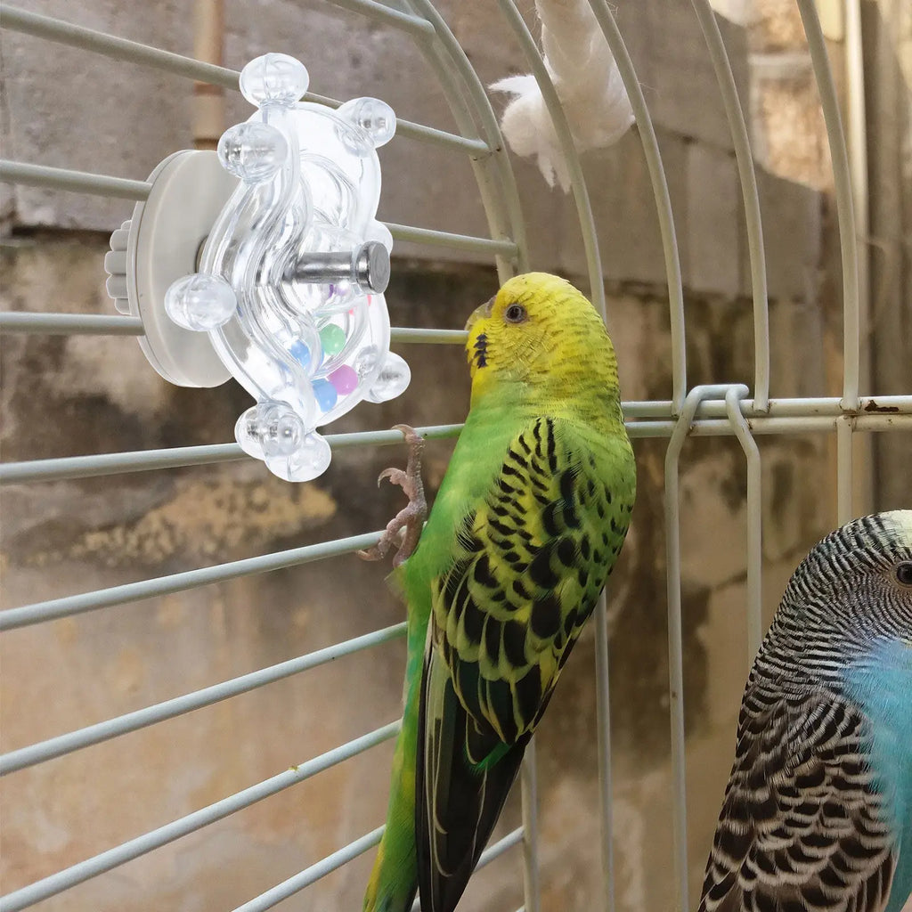 Small Parrot Hanging Wheel Rotating Interactive Climbing Workout Cage