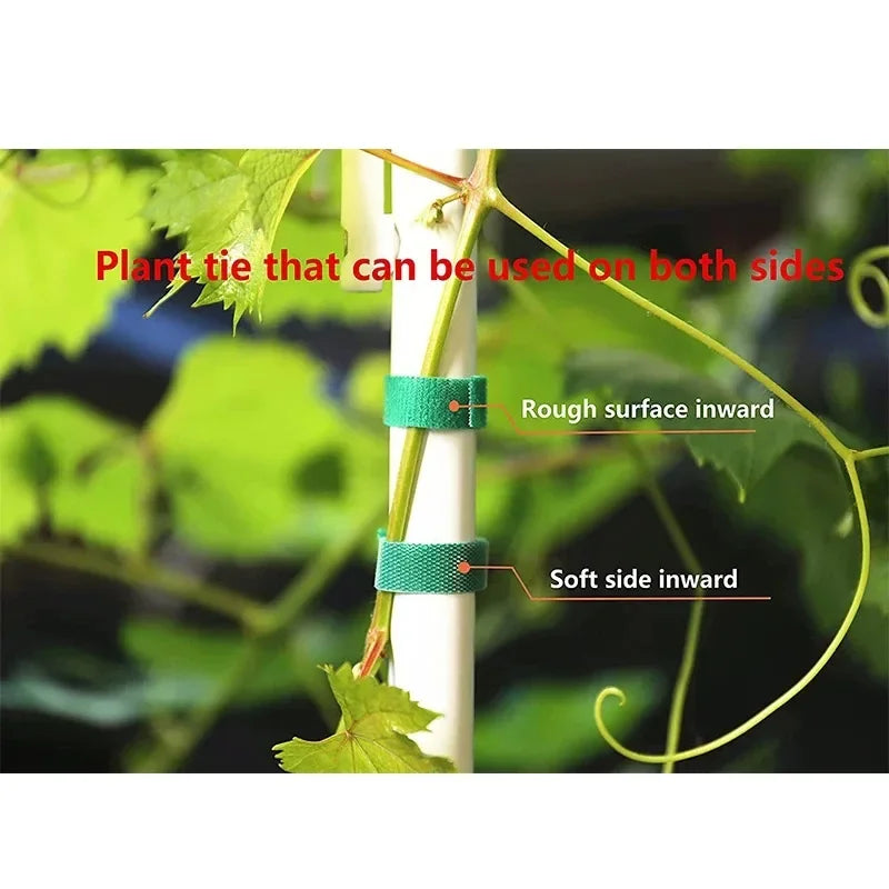 Green Nylon Garden Twine & Plant Ties – Hook Loop Cane Support