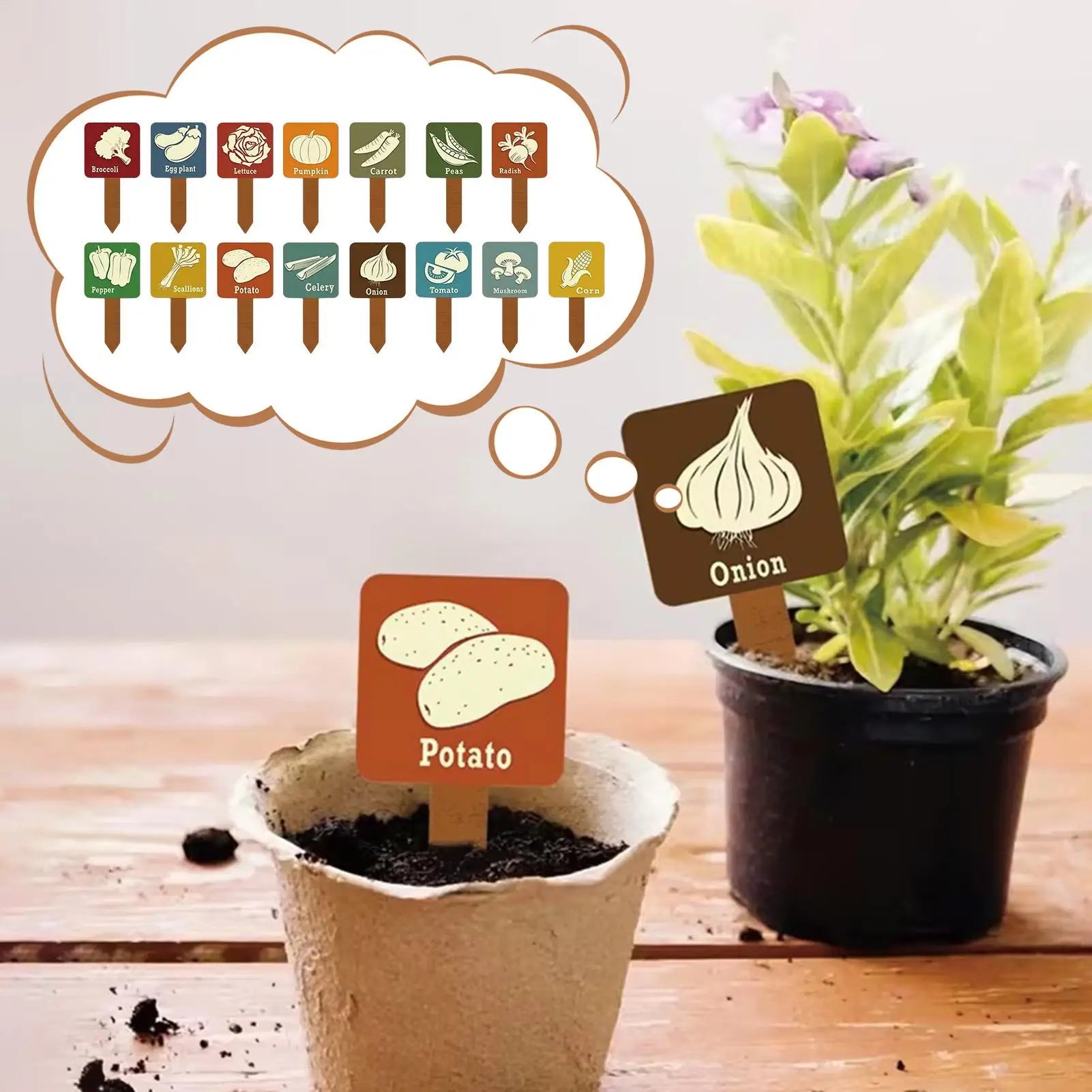 Plant Label Stakes 15 Vegetable T-shape Tags Markers Colorful Print Zpaxo