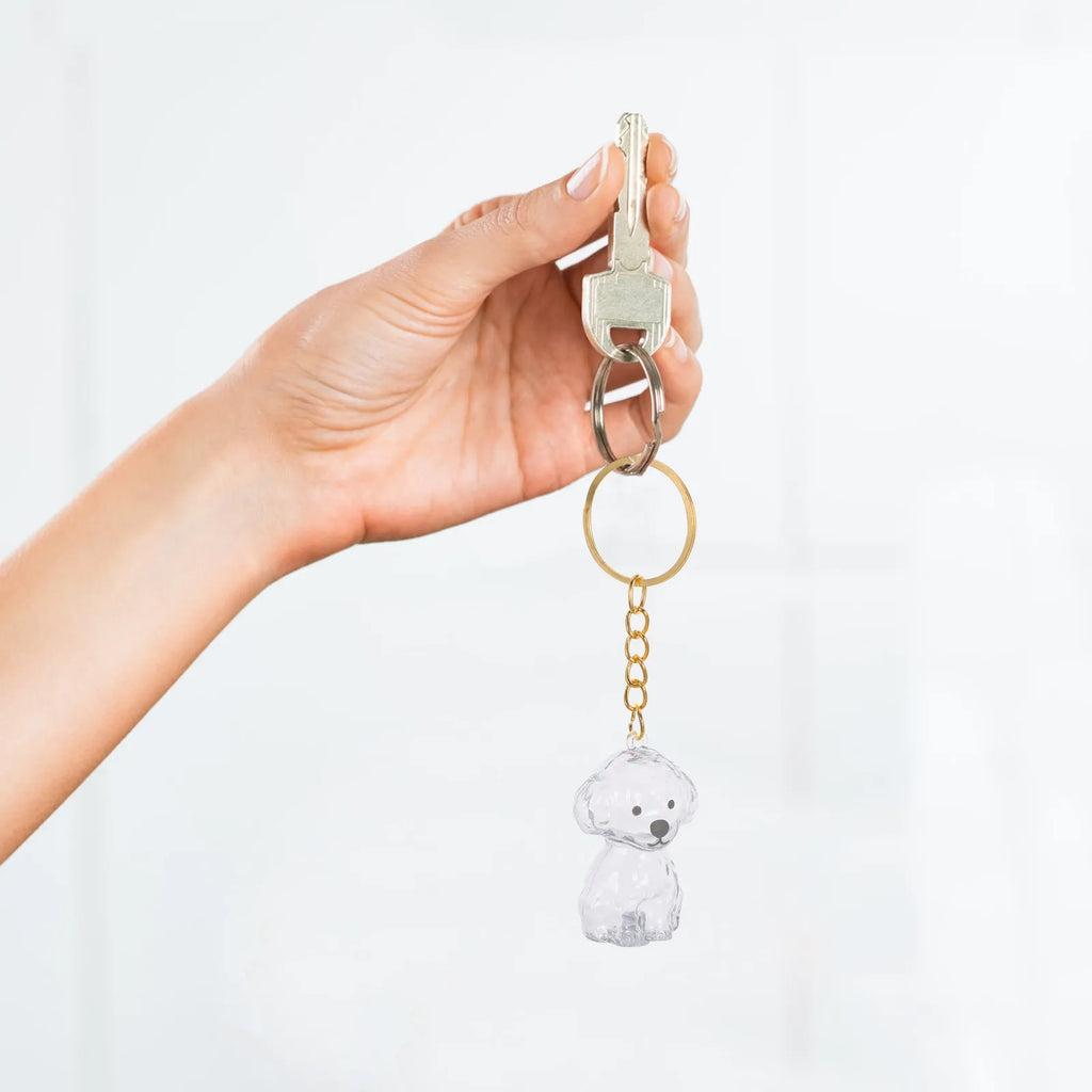 Pet Hair Memorial Box Transparent Dog Keepsake Keychain Portable