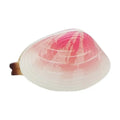 Outdoor Water Toys Clam Shaped Kids Pool Novelty Pranking Stuff Gags Zpaxo United States