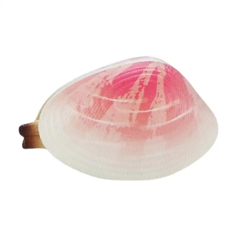 Outdoor Water Toys Clam Shaped Kids Pool Novelty Pranking Stuff Gags Zpaxo United States