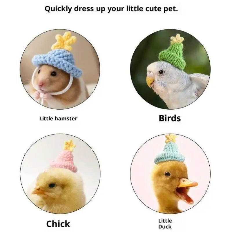 Handmade Knitted Pet Hat for Hamster, Parrot & Small Animals Pet Costume Hat Zpaxo