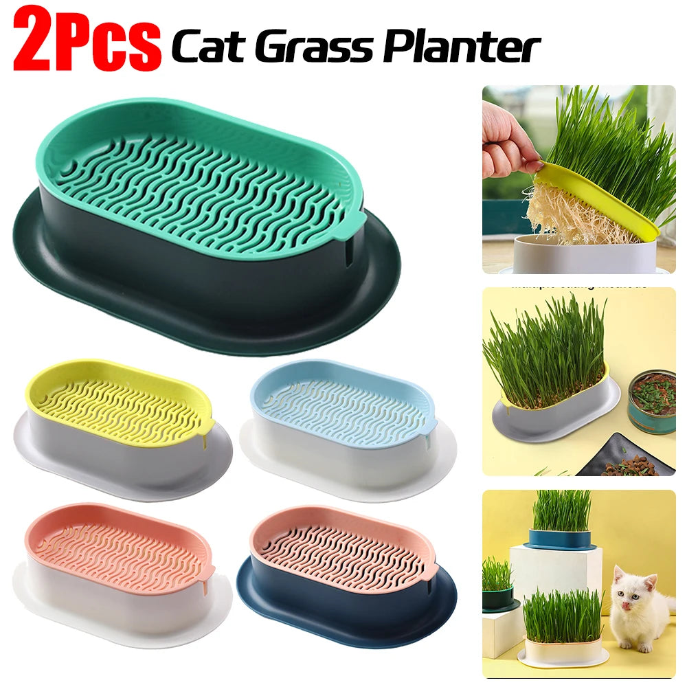 Cat Grass Planter Pet Digestion Growing Tray Box Plastic Nursery