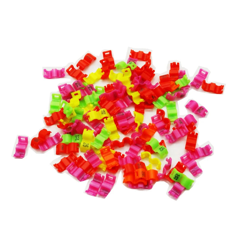 Bird Clip Ring Plastic Foot Rings Colorful Birds Acacia Pigeon All