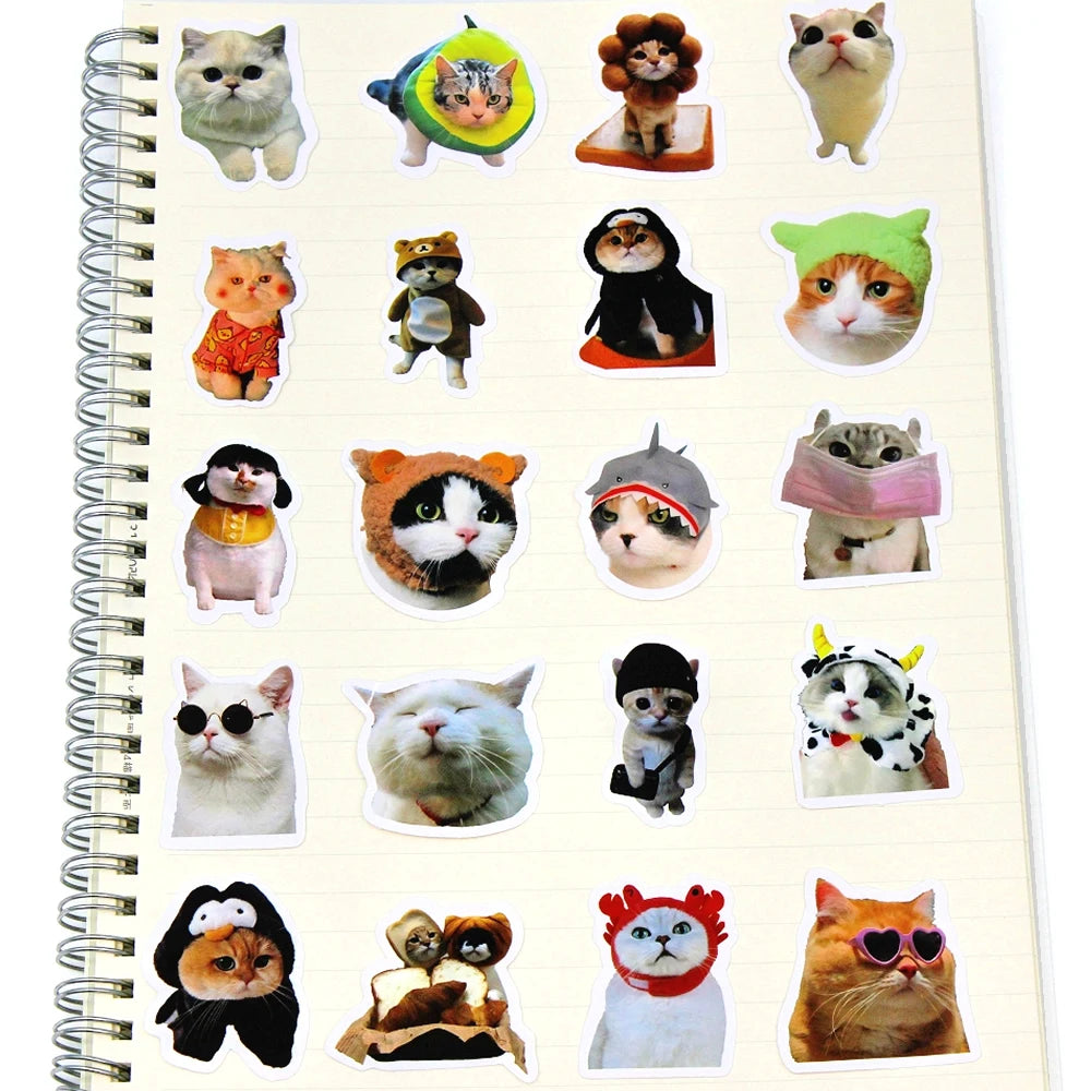 10 50 Funny Cat Pet Meme Graffiti Stickers DIY Scrapbook Notebook