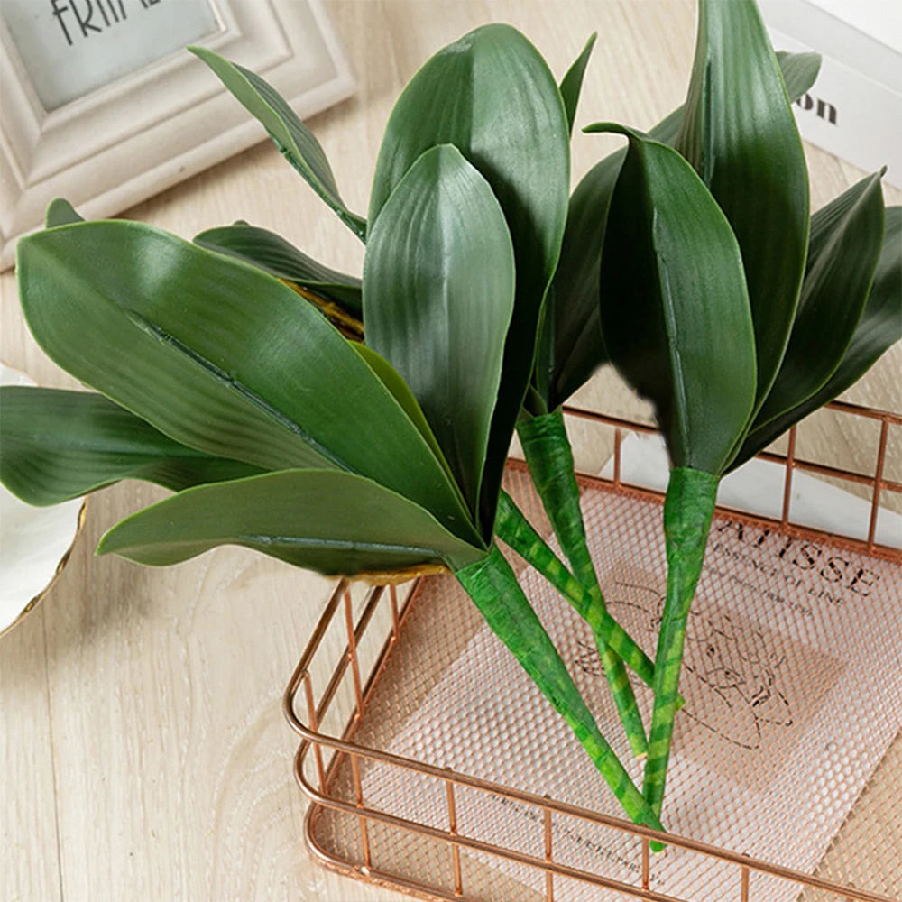 Artificial Phalaenopsis Simulation Moth Orchid Leaf Real-touch Orchid Leaves Flower Plant Home Decoration Landscaping Zpaxo
