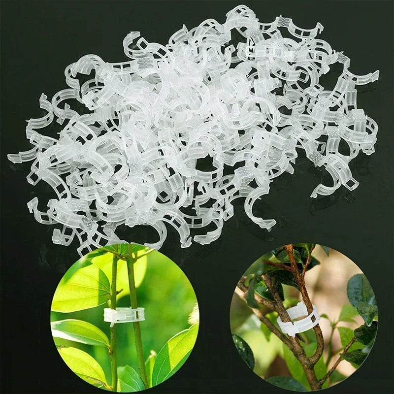 Hot Plant Clips Supports Reusable Plastic Connects Fixing Vine Tomato Stem Grafting Vegetable Plants Orchard and Garden Tools Zpaxo