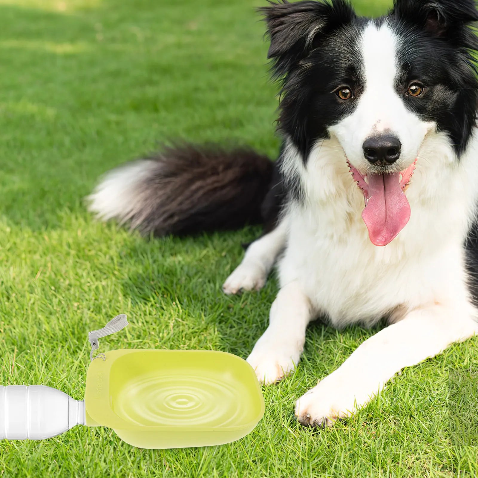Pet Water Bowl Outdoor Portable ABS Material Easy Clean Dog Bottle