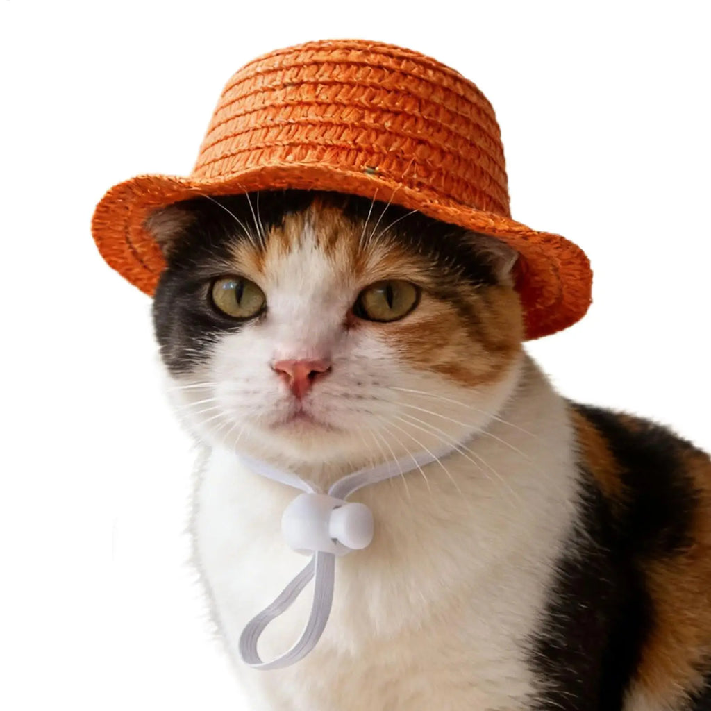 Pet Straw Sun Hat – Lightweight Breathable Cat & Dog Beach Cap Pet Sun Hat Zpaxo