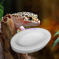 Reptile Water Food Bowl Ceramic Feeder Bowls Anti- Escape Breadworm