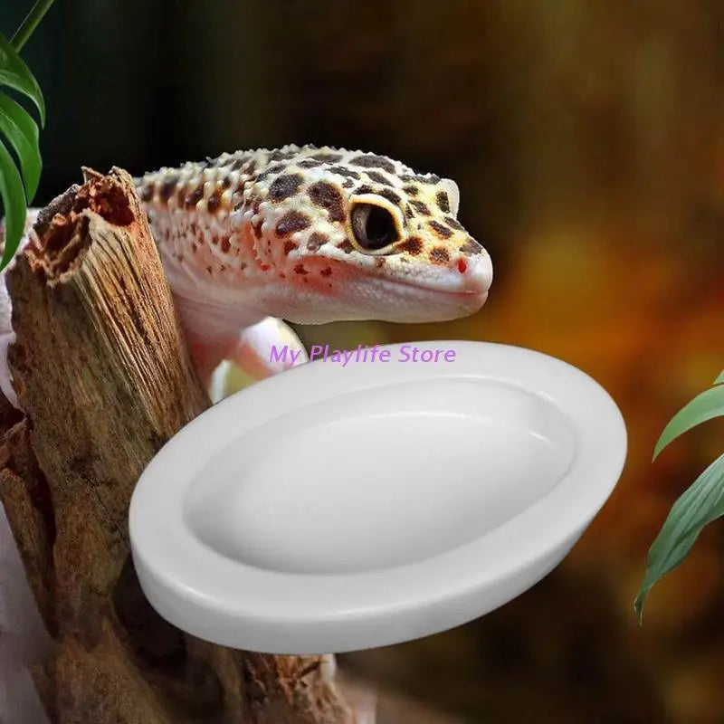 Reptile Water Food Bowl Ceramic Feeder Bowls Anti- Escape Breadworm