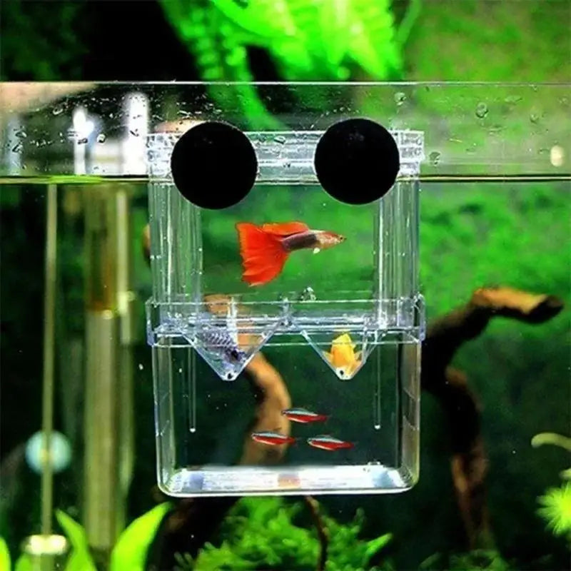 Aquarium Fish Breeder Box Durable Betta Tank Breeding Isolation