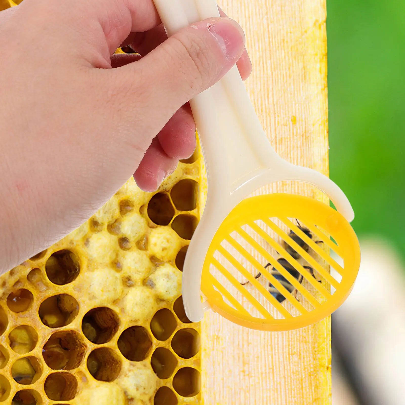 3Pcs Handheld Foldable Bee Queen Catcher Yellow Plastic Queen Marking Tool for Efficient Hive Management Beekeeping Accessory Zpaxo