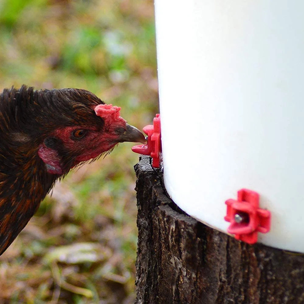 Automatic Chicken Waterer Hens Quail Birds Drinking Bowls Coop Nipple