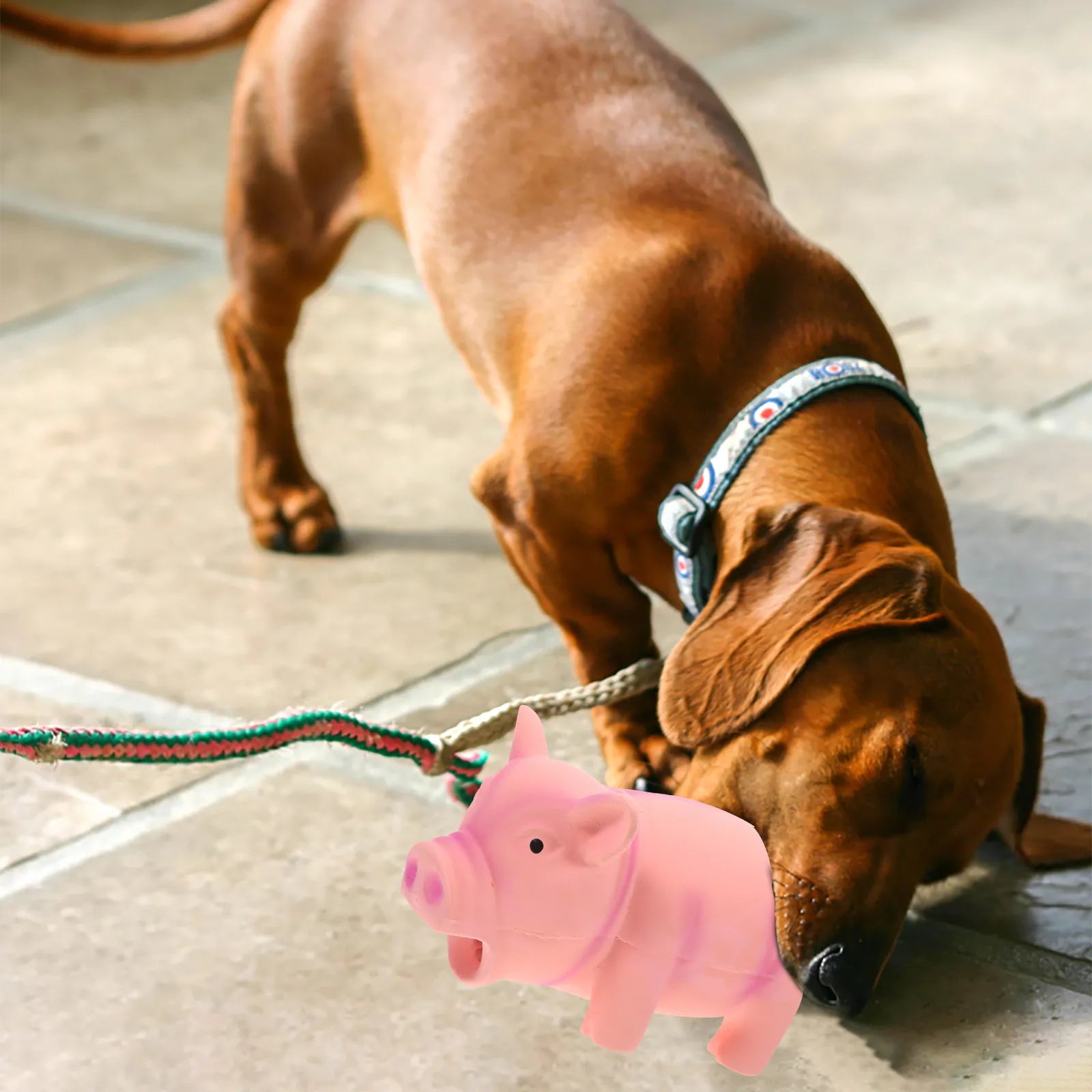 Pig Shape Dog Bite Resistant Latex Chew Squeaky Training Interactive