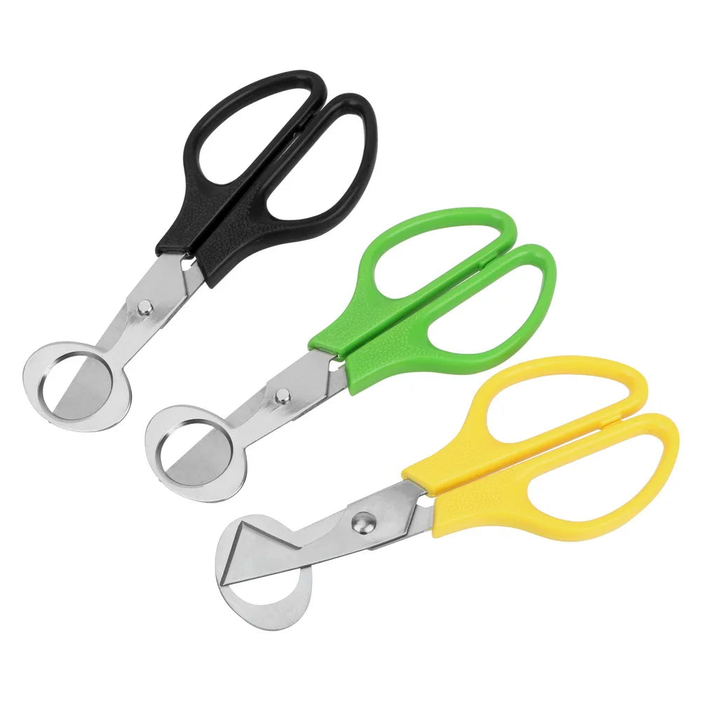 Cigar Cutters Egg Tools Quail Shell Scissors Rust Resistant Stainless