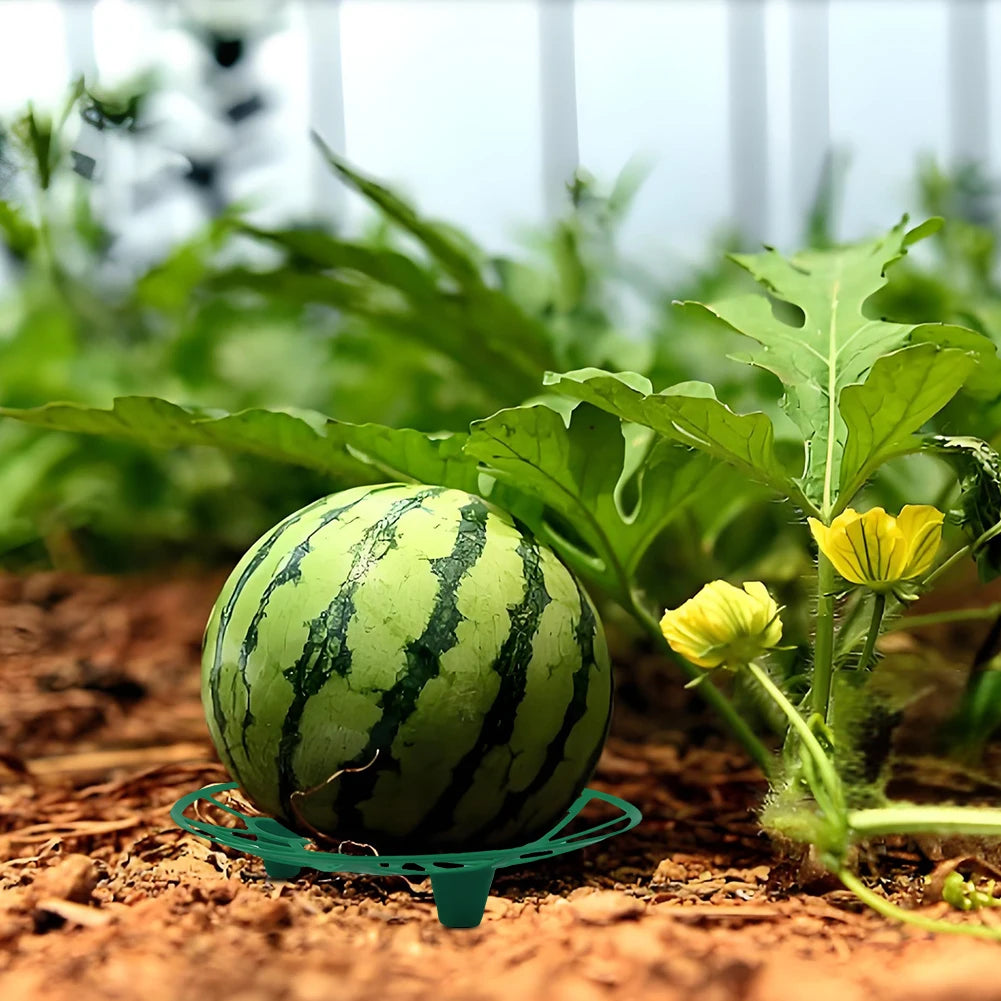 5/10Pcs Watermelon Cradle Reusable Fruits Vegetables Nursery Tray Vegetables Plant Tray for Watermelons Pumpkins Melons Squash Zpaxo